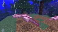 Keep breeding them until a blue baby is born (Image via Minecraft)